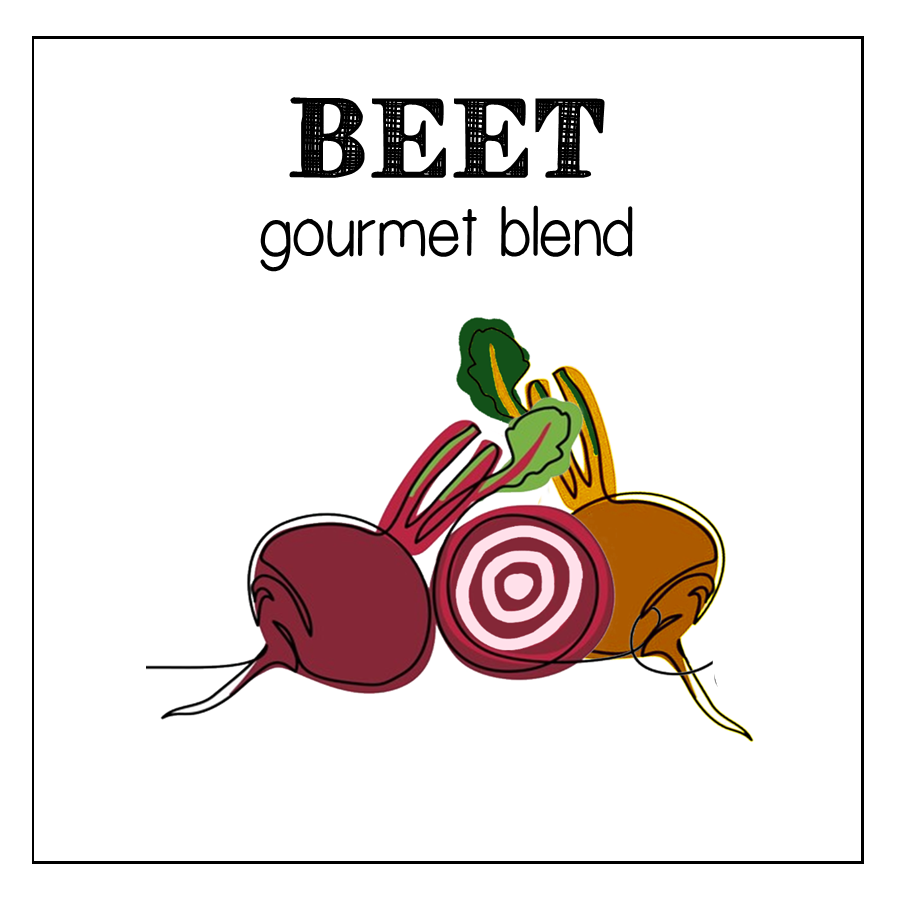 vegetable garden seed collection