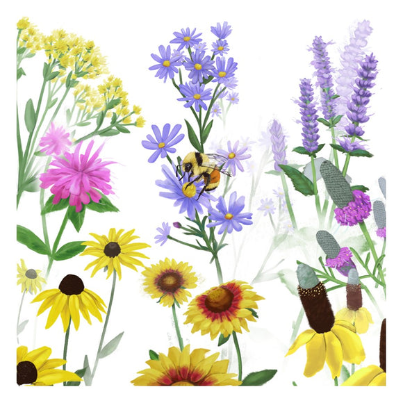 Pollinator Garden Seed Collection