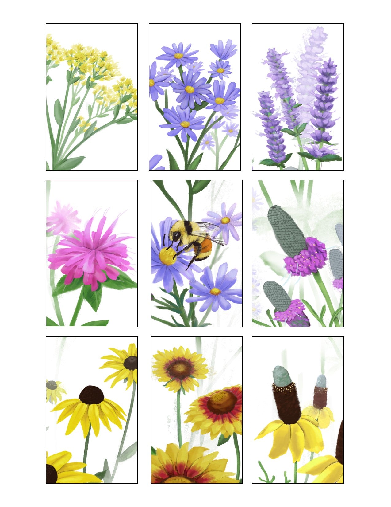 Pollinator Garden Seed Collection