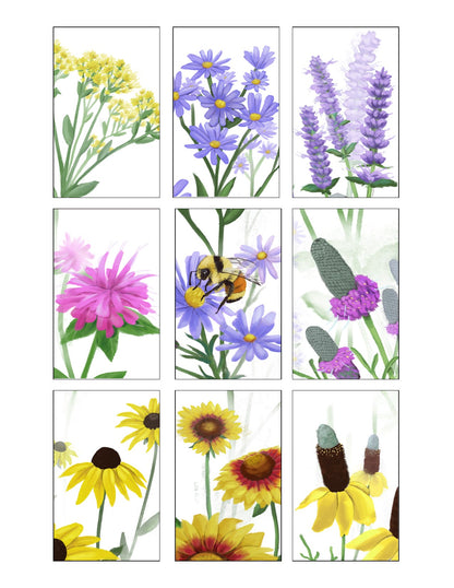 Pollinator Garden Seed Collection