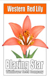 Western Red Lily