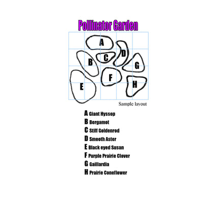 Pollinator Garden Seed Collection