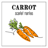 vegetable garden seed collection
