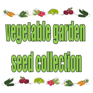 vegetable garden seed collection