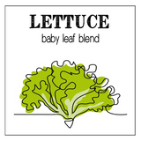 vegetable garden seed collection