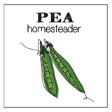 vegetable garden seed collection