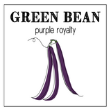 vegetable garden seed collection